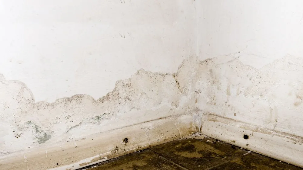Can You Paint Over Water Stains?
