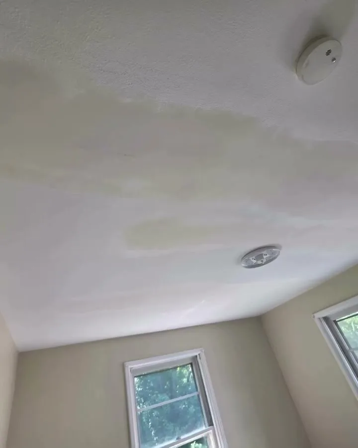 Ceiling repaired and repainted